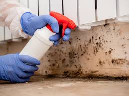 Best Air Quality Testing for Mold Spores  in Somerset, WI